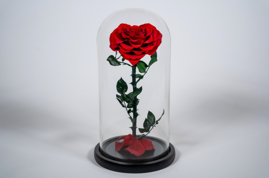 Καρδιά από Τριαντάφυλλα σε Γυάλινο Θόλο