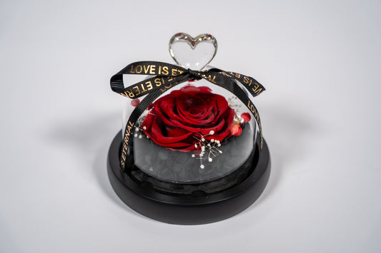 Forever Rose σε Γυάλινο Θόλο