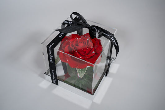 Luxury Forever Rose σε Ακρυλικό Κουτί