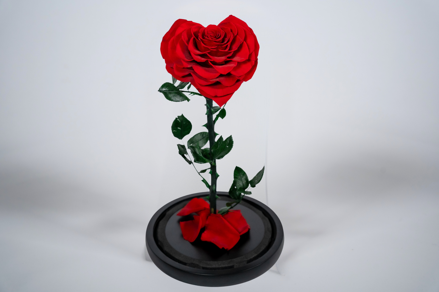 Καρδιά από Τριαντάφυλλα σε Γυάλινο Θόλο
